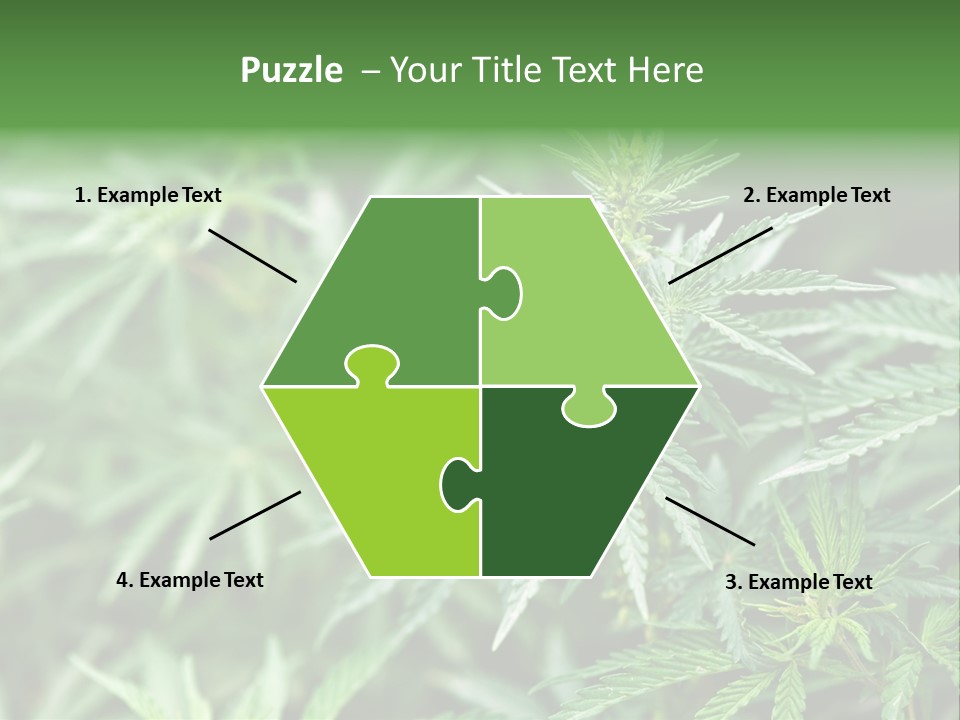 A Plant With Green Leaves Is Shown In This Powerpoint Presentation PowerPoint Template