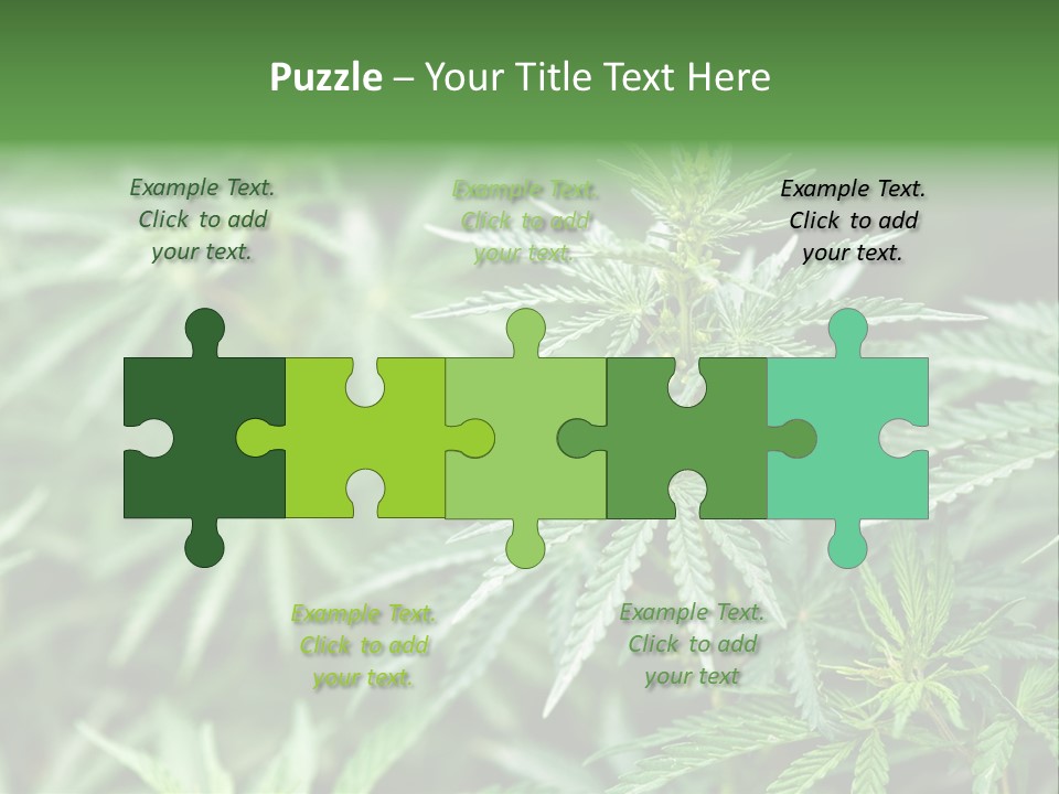 A Plant With Green Leaves Is Shown In This Powerpoint Presentation PowerPoint Template