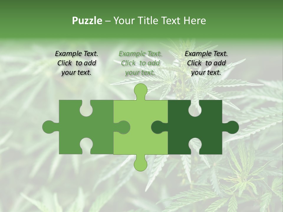 A Plant With Green Leaves Is Shown In This Powerpoint Presentation PowerPoint Template