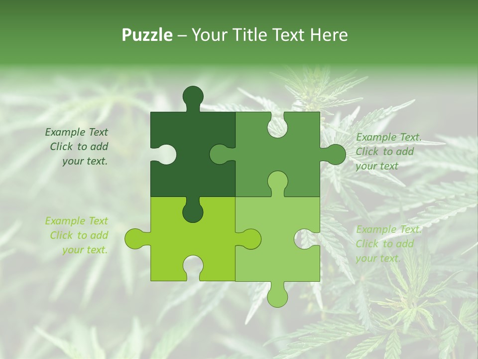 A Plant With Green Leaves Is Shown In This Powerpoint Presentation PowerPoint Template