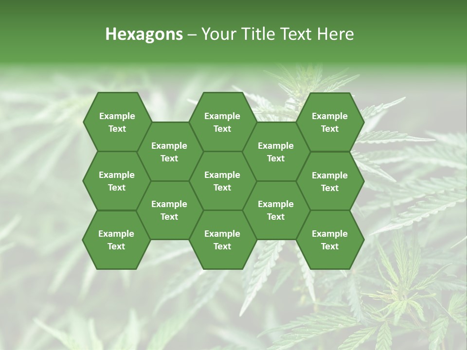 A Plant With Green Leaves Is Shown In This Powerpoint Presentation PowerPoint Template