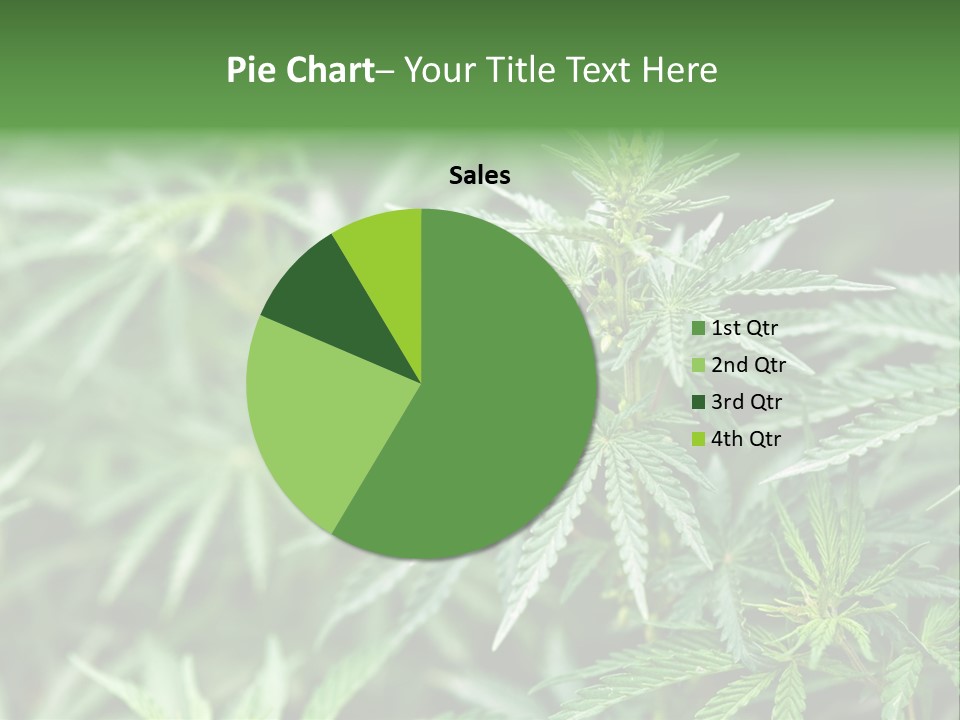 A Plant With Green Leaves Is Shown In This Powerpoint Presentation PowerPoint Template
