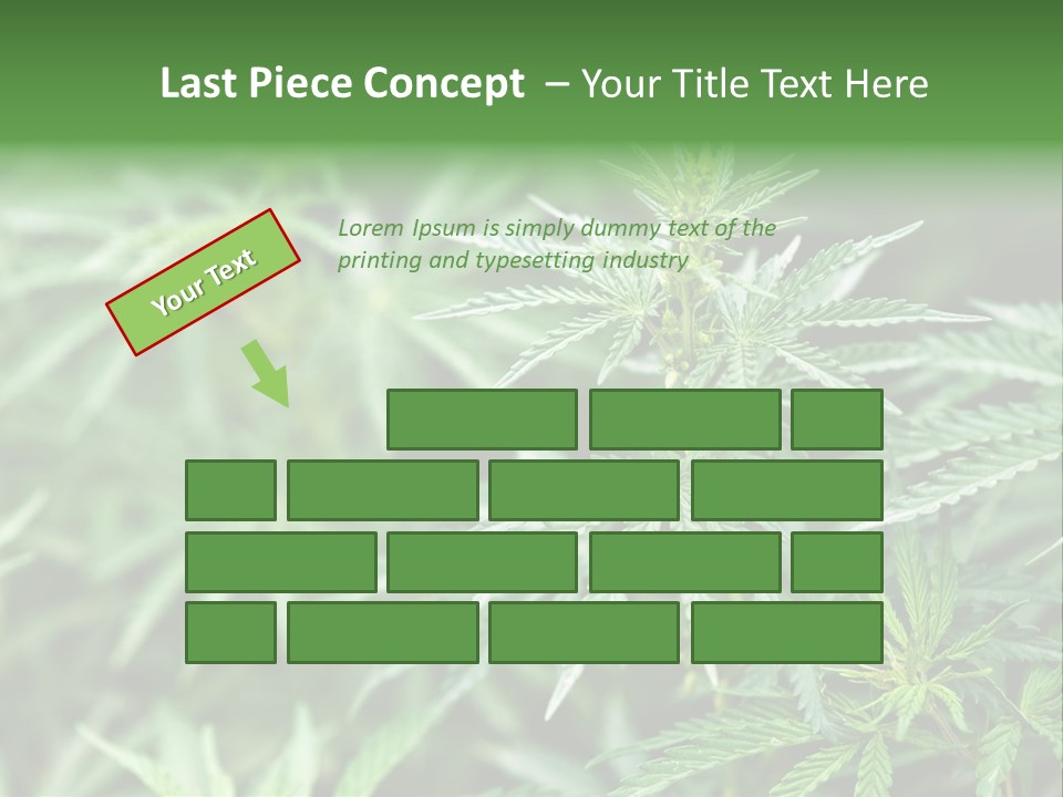 A Plant With Green Leaves Is Shown In This Powerpoint Presentation PowerPoint Template