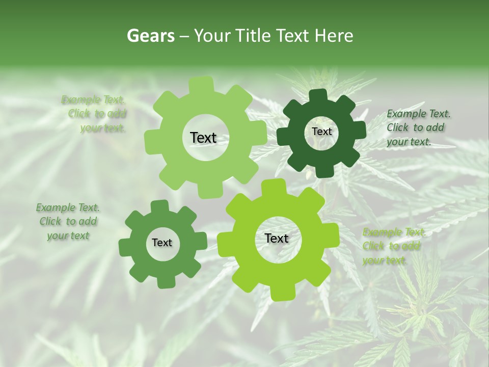 A Plant With Green Leaves Is Shown In This Powerpoint Presentation PowerPoint Template