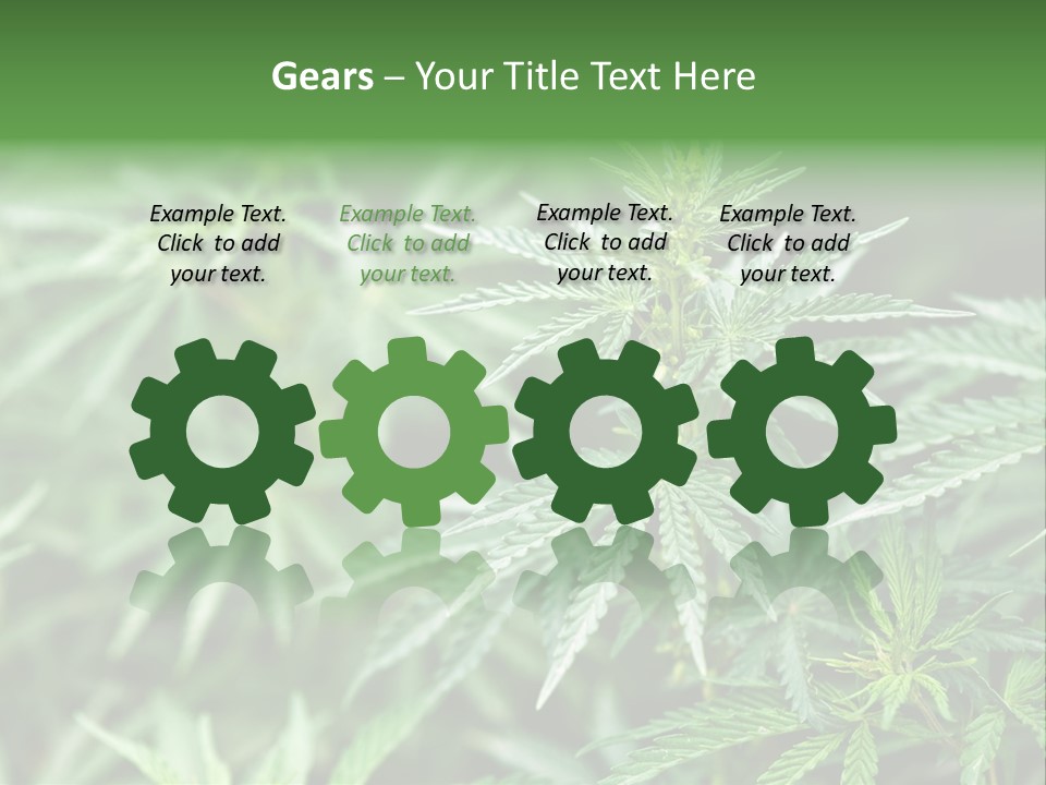 A Plant With Green Leaves Is Shown In This Powerpoint Presentation PowerPoint Template