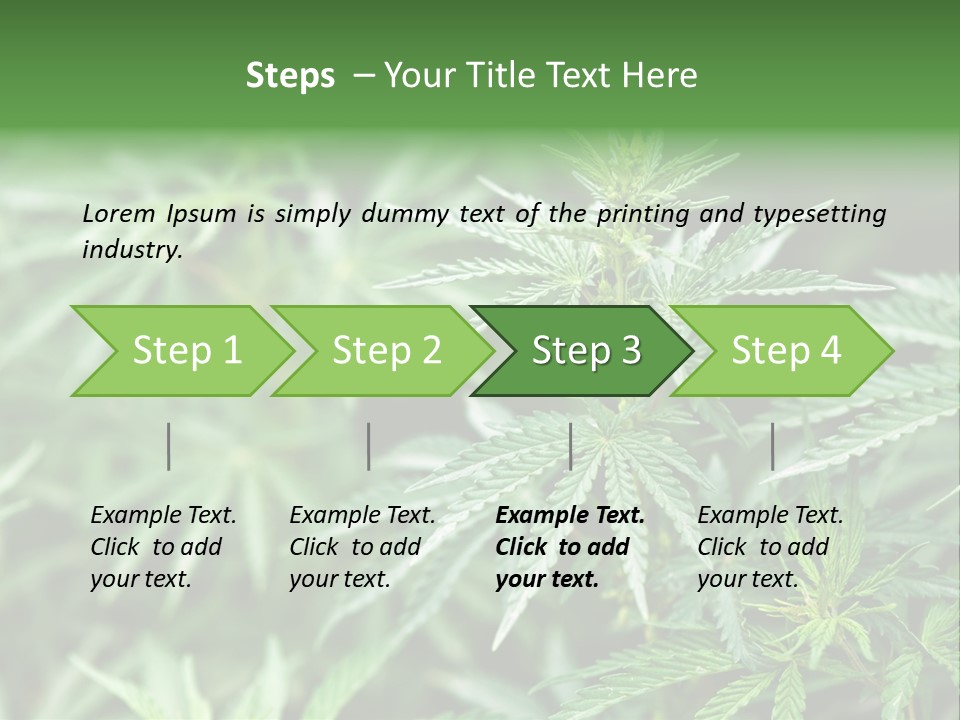 A Plant With Green Leaves Is Shown In This Powerpoint Presentation PowerPoint Template