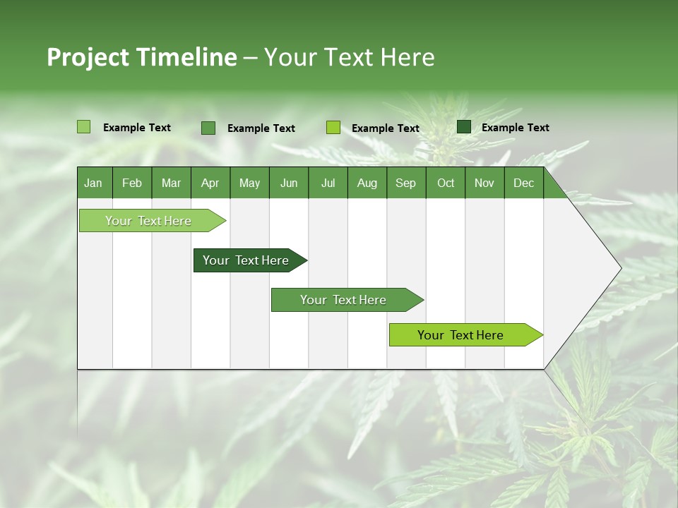A Plant With Green Leaves Is Shown In This Powerpoint Presentation PowerPoint Template