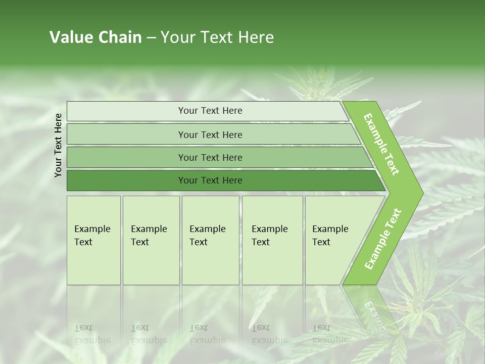 A Plant With Green Leaves Is Shown In This Powerpoint Presentation PowerPoint Template
