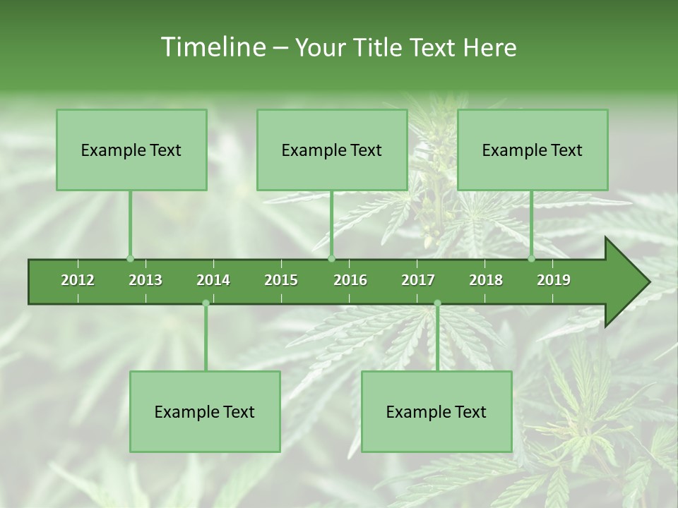 A Plant With Green Leaves Is Shown In This Powerpoint Presentation PowerPoint Template