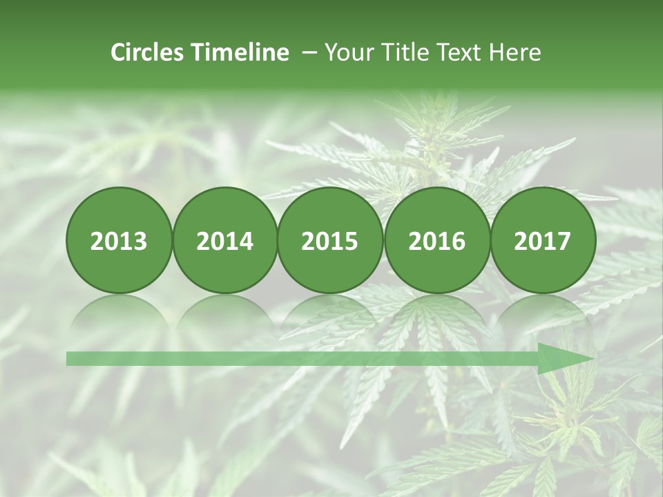 A Plant With Green Leaves Is Shown In This Powerpoint Presentation PowerPoint Template