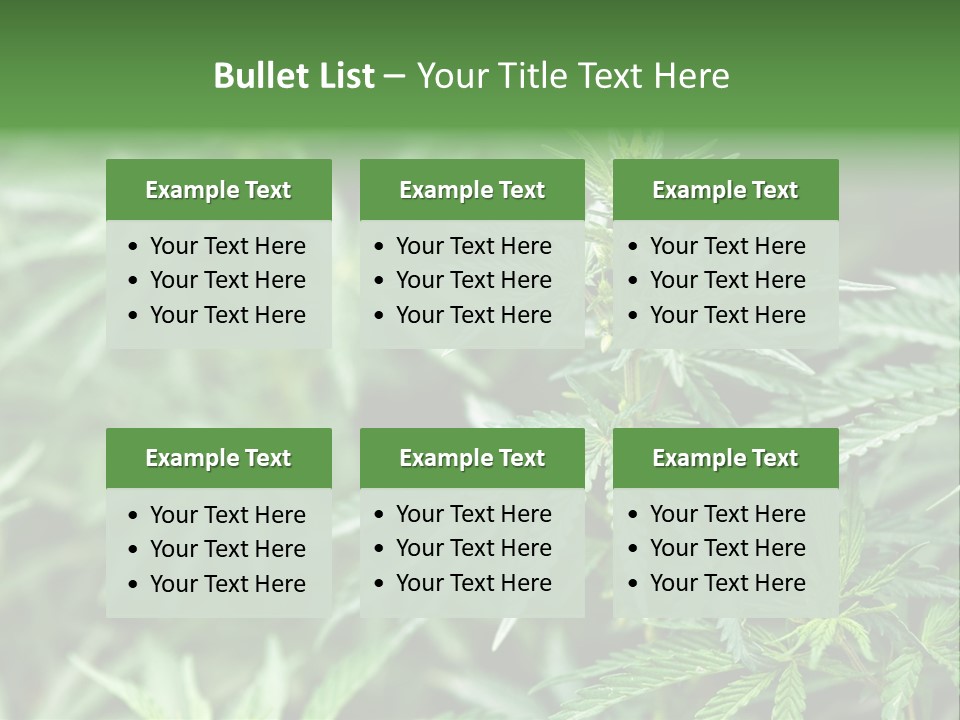 A Plant With Green Leaves Is Shown In This Powerpoint Presentation PowerPoint Template