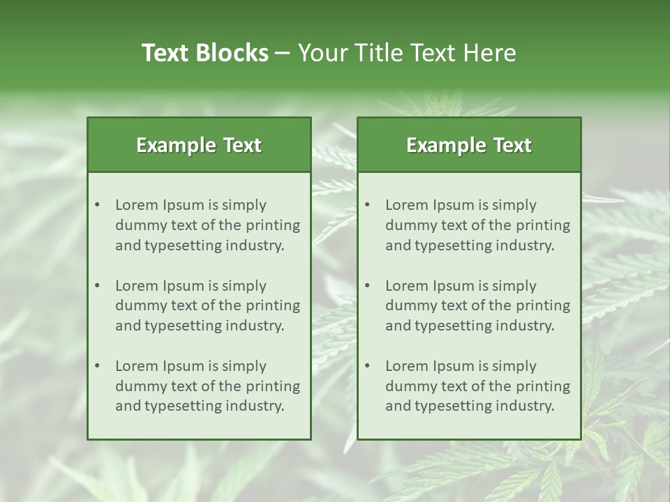 A Plant With Green Leaves Is Shown In This Powerpoint Presentation PowerPoint Template