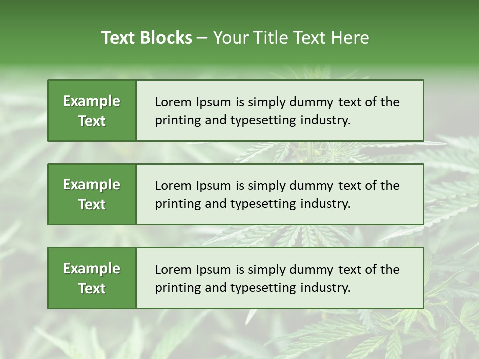 A Plant With Green Leaves Is Shown In This Powerpoint Presentation PowerPoint Template