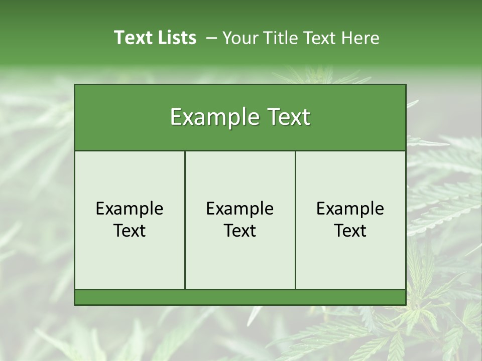 A Plant With Green Leaves Is Shown In This Powerpoint Presentation PowerPoint Template