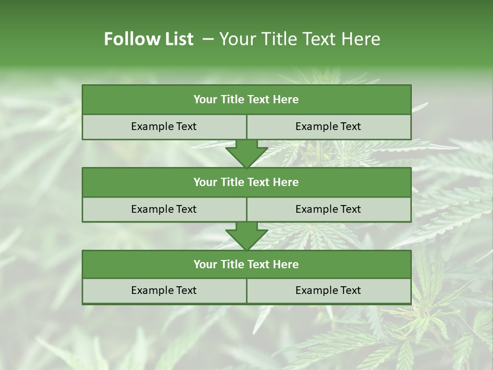 A Plant With Green Leaves Is Shown In This Powerpoint Presentation PowerPoint Template