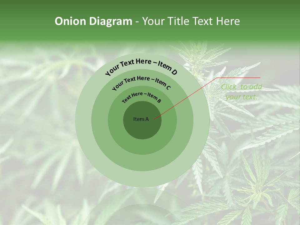 A Plant With Green Leaves Is Shown In This Powerpoint Presentation PowerPoint Template