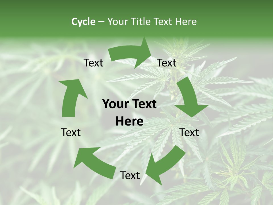 A Plant With Green Leaves Is Shown In This Powerpoint Presentation PowerPoint Template