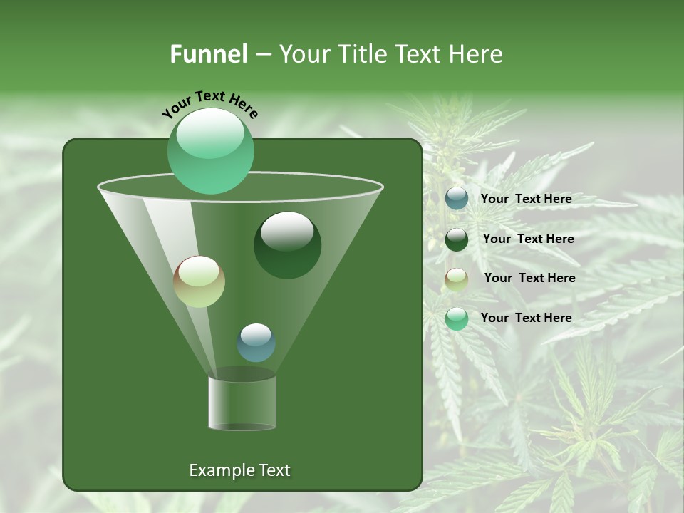 A Plant With Green Leaves Is Shown In This Powerpoint Presentation PowerPoint Template