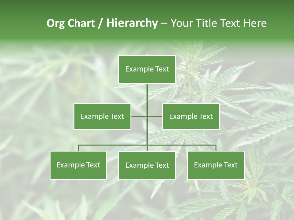 A Plant With Green Leaves Is Shown In This Powerpoint Presentation PowerPoint Template