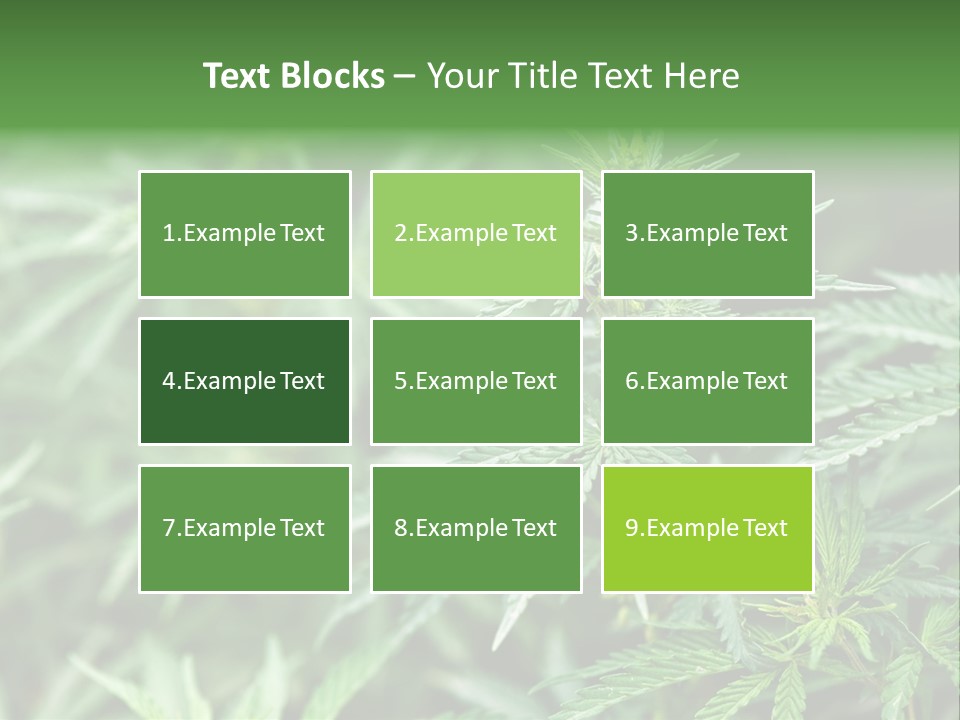 A Plant With Green Leaves Is Shown In This Powerpoint Presentation PowerPoint Template