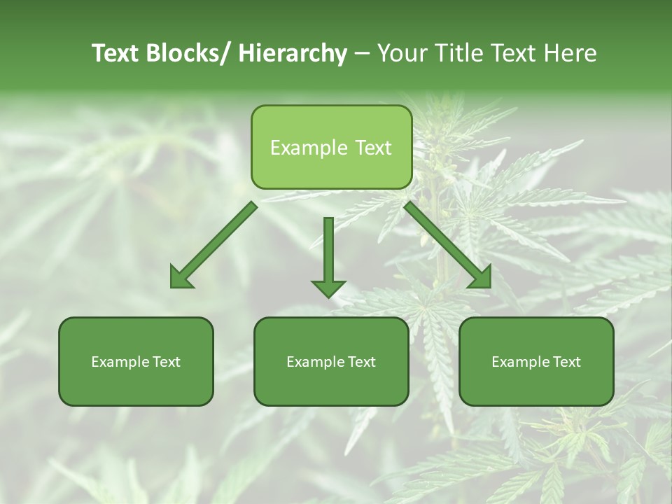 A Plant With Green Leaves Is Shown In This Powerpoint Presentation PowerPoint Template
