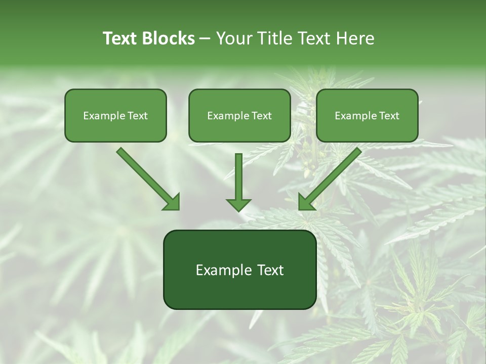 A Plant With Green Leaves Is Shown In This Powerpoint Presentation PowerPoint Template