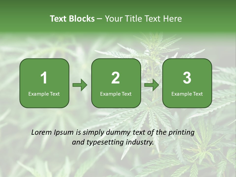 A Plant With Green Leaves Is Shown In This Powerpoint Presentation PowerPoint Template