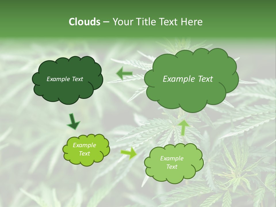 A Plant With Green Leaves Is Shown In This Powerpoint Presentation PowerPoint Template