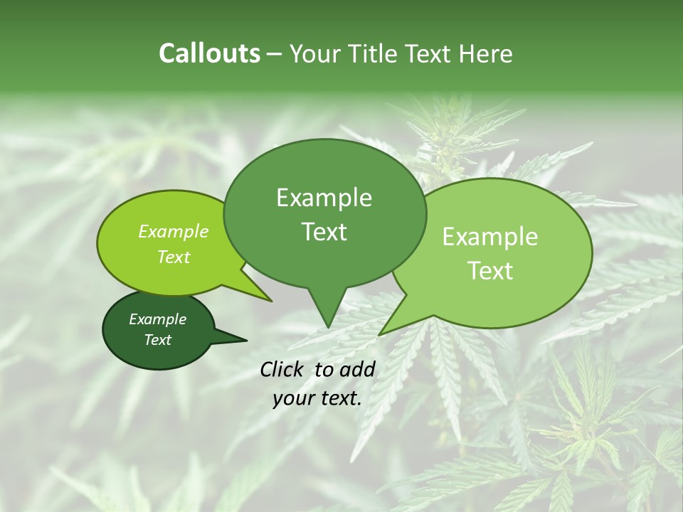 A Plant With Green Leaves Is Shown In This Powerpoint Presentation PowerPoint Template