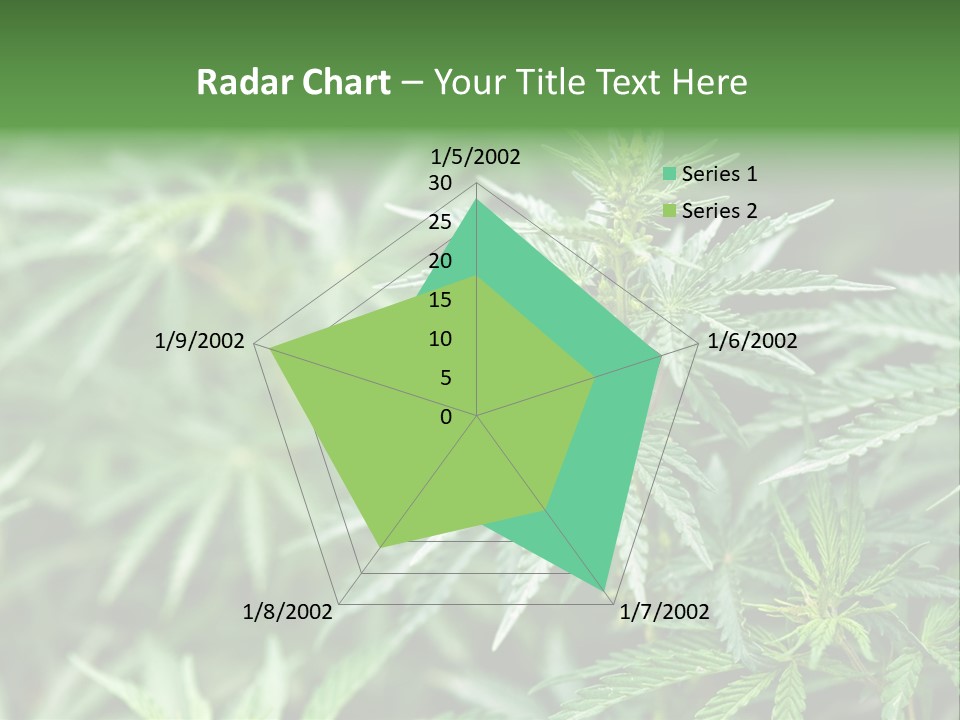 A Plant With Green Leaves Is Shown In This Powerpoint Presentation PowerPoint Template