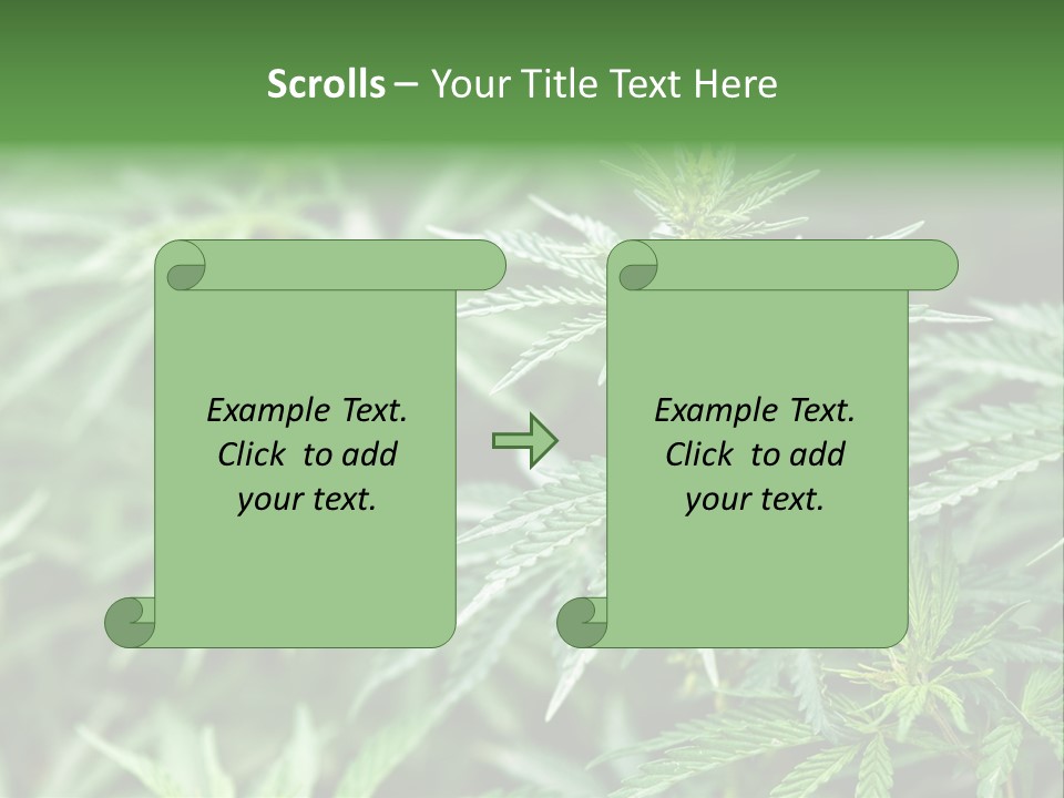 A Plant With Green Leaves Is Shown In This Powerpoint Presentation PowerPoint Template