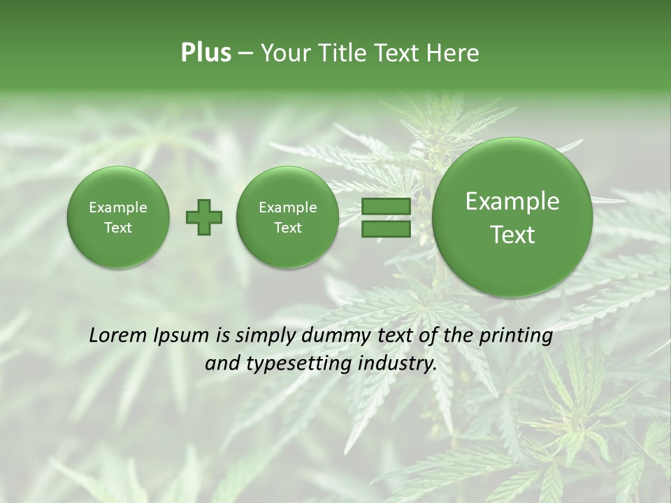 A Plant With Green Leaves Is Shown In This Powerpoint Presentation PowerPoint Template