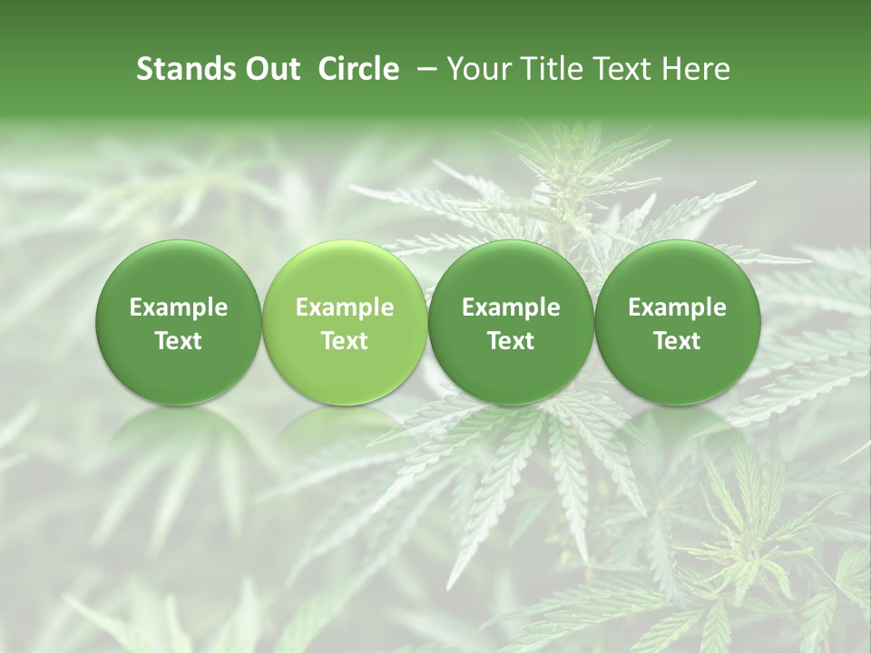 A Plant With Green Leaves Is Shown In This Powerpoint Presentation PowerPoint Template