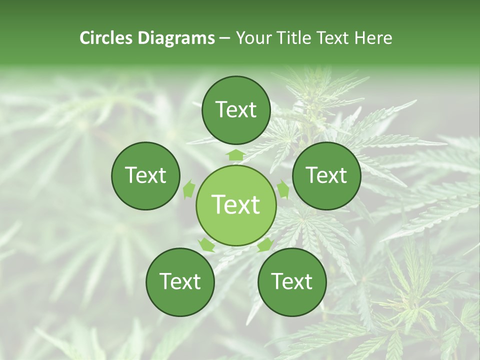 A Plant With Green Leaves Is Shown In This Powerpoint Presentation PowerPoint Template