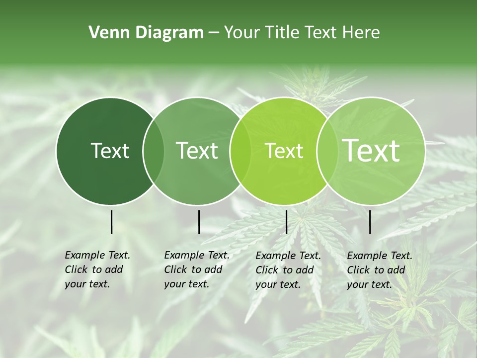 A Plant With Green Leaves Is Shown In This Powerpoint Presentation PowerPoint Template