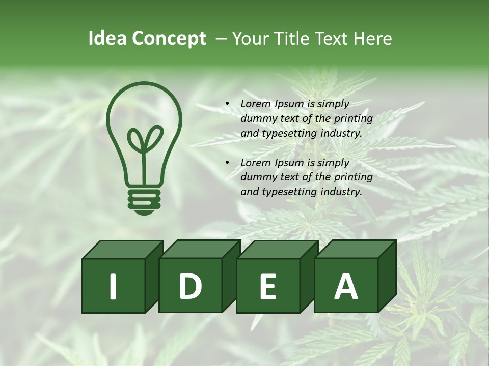 A Plant With Green Leaves Is Shown In This Powerpoint Presentation PowerPoint Template