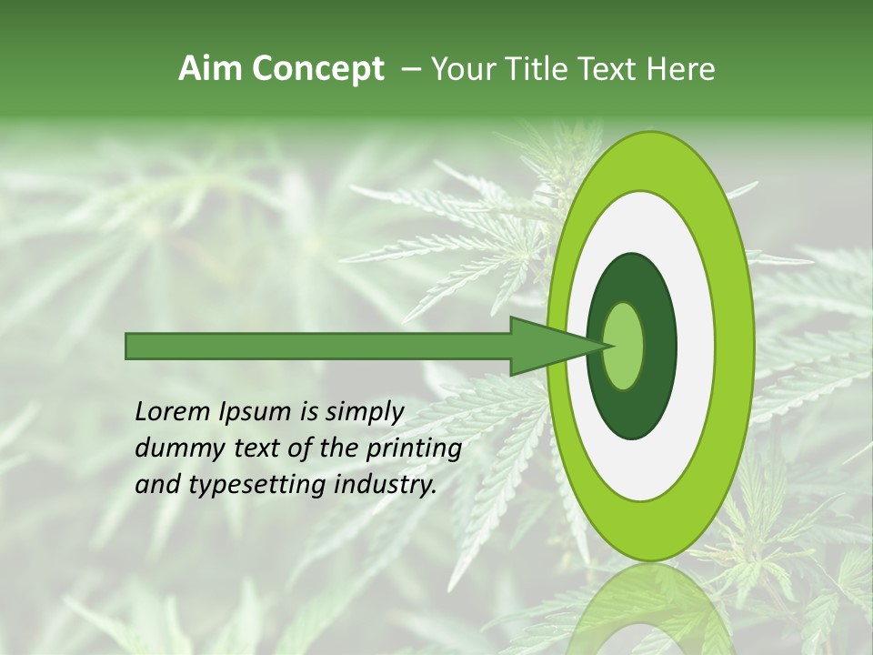 A Plant With Green Leaves Is Shown In This Powerpoint Presentation PowerPoint Template