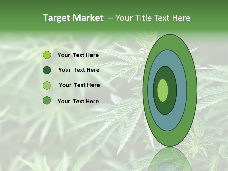 A Plant With Green Leaves Is Shown In This Powerpoint Presentation PowerPoint Template