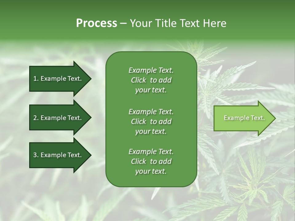 A Plant With Green Leaves Is Shown In This Powerpoint Presentation PowerPoint Template