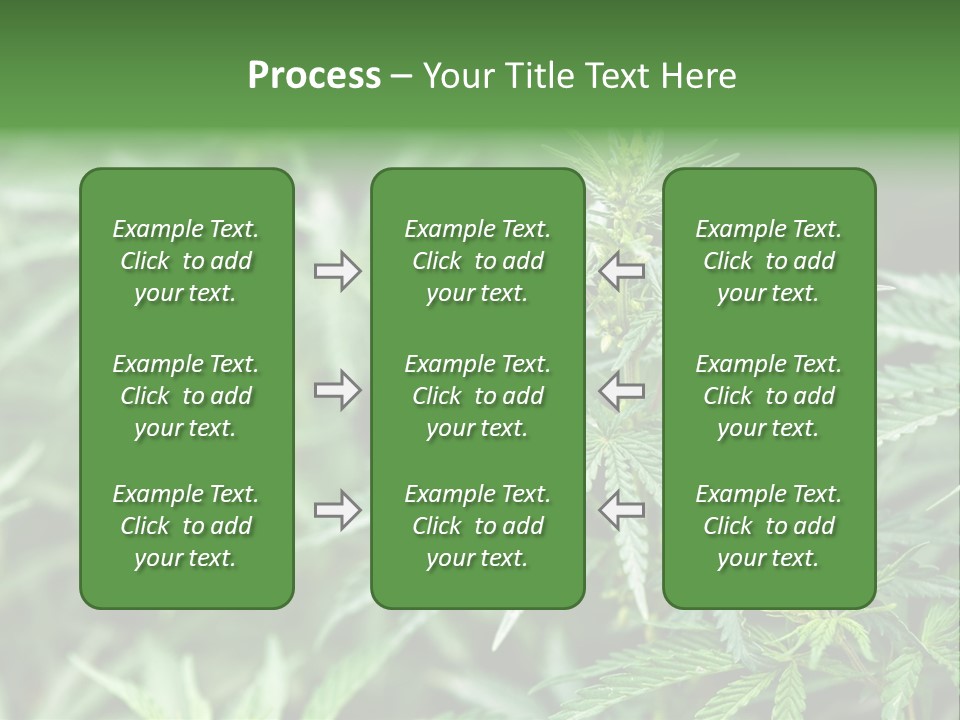 A Plant With Green Leaves Is Shown In This Powerpoint Presentation PowerPoint Template