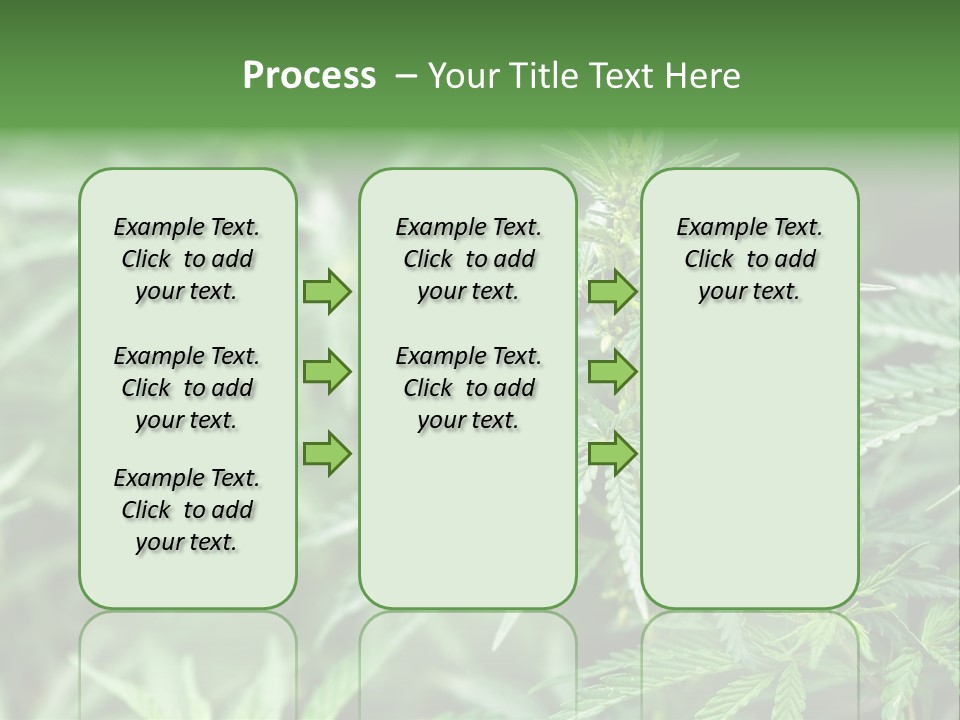 A Plant With Green Leaves Is Shown In This Powerpoint Presentation PowerPoint Template