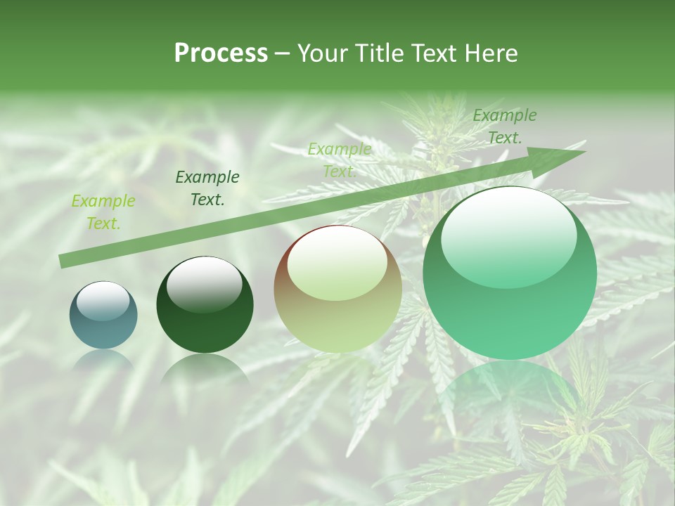A Plant With Green Leaves Is Shown In This Powerpoint Presentation PowerPoint Template