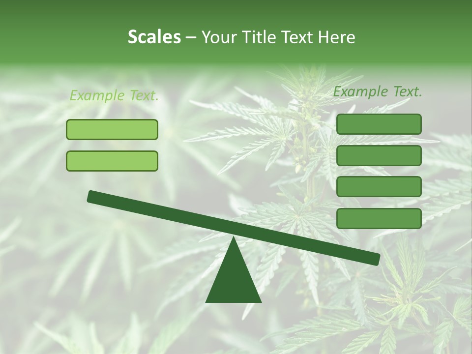 A Plant With Green Leaves Is Shown In This Powerpoint Presentation PowerPoint Template