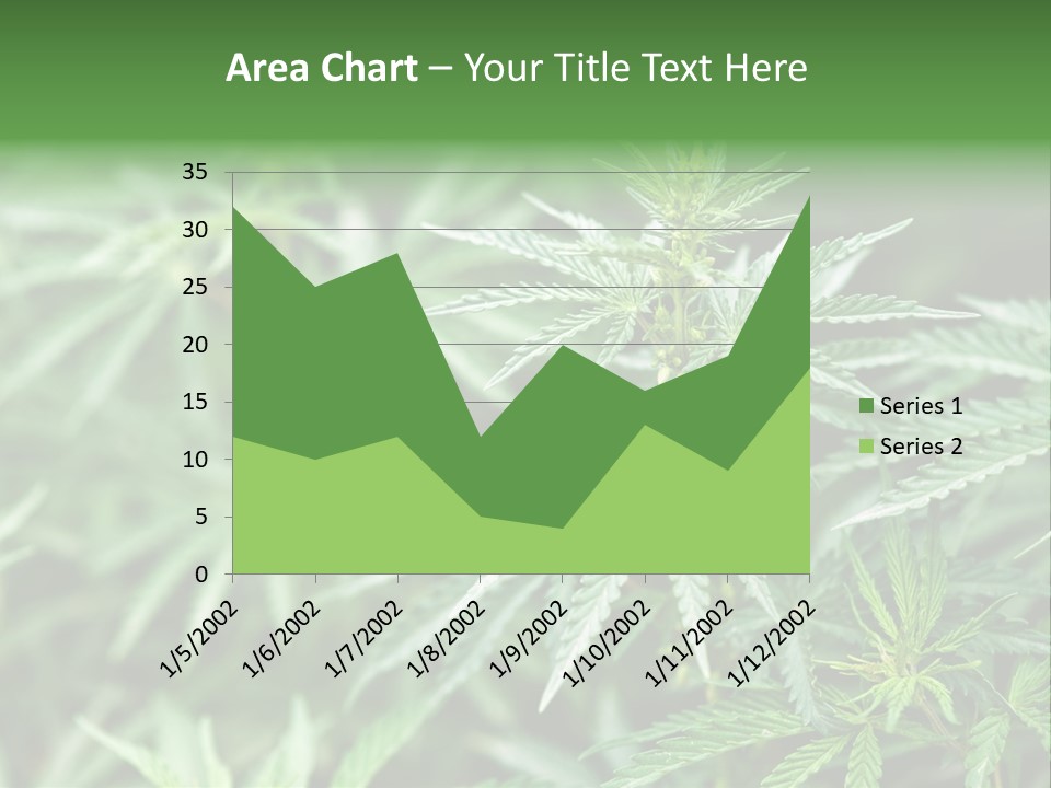 A Plant With Green Leaves Is Shown In This Powerpoint Presentation PowerPoint Template