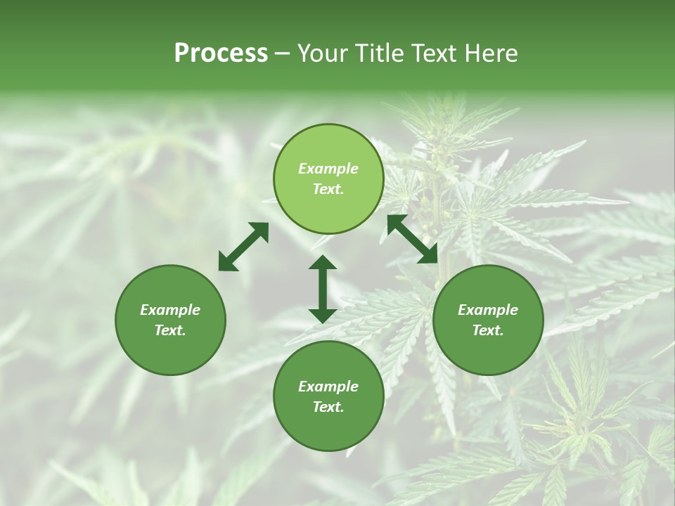 A Plant With Green Leaves Is Shown In This Powerpoint Presentation PowerPoint Template