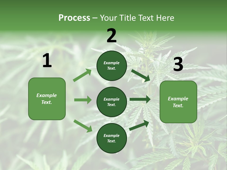 A Plant With Green Leaves Is Shown In This Powerpoint Presentation PowerPoint Template