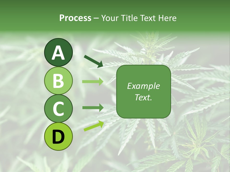 A Plant With Green Leaves Is Shown In This Powerpoint Presentation PowerPoint Template