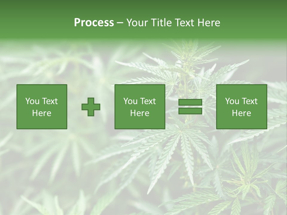 A Plant With Green Leaves Is Shown In This Powerpoint Presentation PowerPoint Template