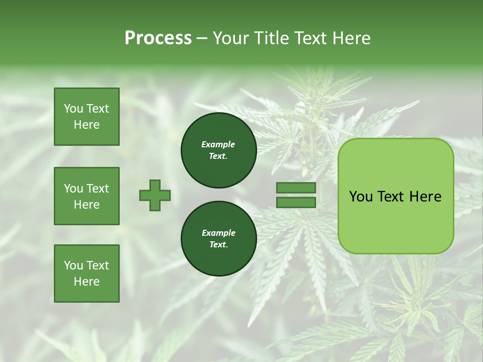 A Plant With Green Leaves Is Shown In This Powerpoint Presentation PowerPoint Template