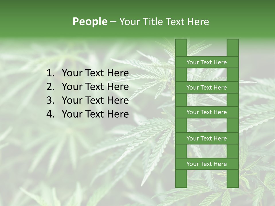 A Plant With Green Leaves Is Shown In This Powerpoint Presentation PowerPoint Template